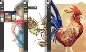 adobe ideas