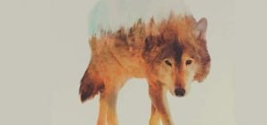 di doubleexposure