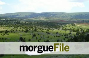 morguefile