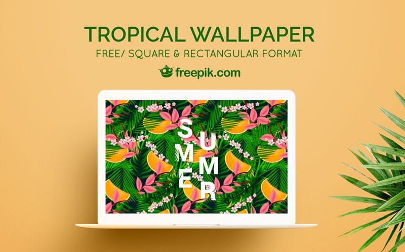tropical backgrounds cover image